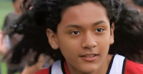 Edder Diaz Normal IL Obituary Fire Hero : Edder Diaz 13-Year-Old Obituary Died After Saving Mother in House Fire, Trapped in Flames