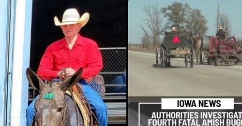 The Clarke County community is grieving deeply after the tragic loss of 16-year-old Elmer Borntrager, whose life ended far too soon in a devastating hit-and-run crash involving a horse-drawn buggy