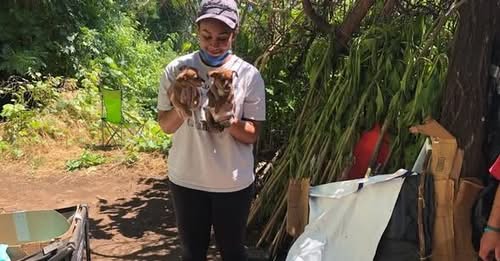 Alexandra Wynter, 26 Chico, California Murder-Suicide Tragedy Obituary: Chico Mourns Alexandra Wynter, 26, Wonderful Person Tragically Killed in Apparent Murder-Suicide Chico Mourns Alexandra Wynter, 26, Lost to Violence