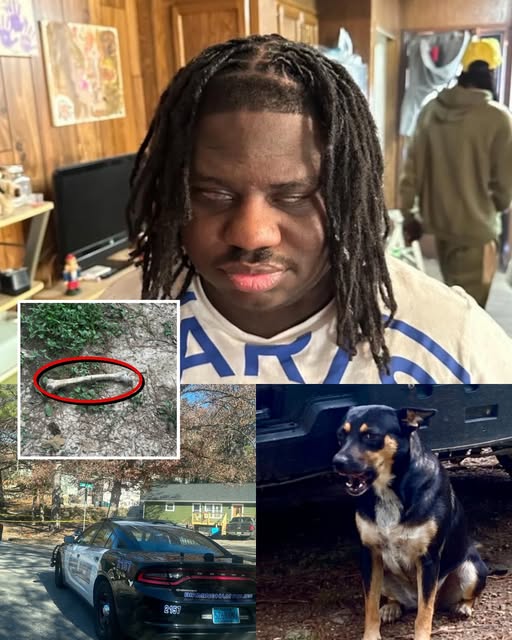 Curtis Taylor Jr., 25 Homicide Victim Obituary: Visually Impaired Man’s Remains Found, Homicide Investigation Launched Unthinkable Discovery: Loyal Dog Solves 2-Year Disappearance of Curtis Taylor Jr.
