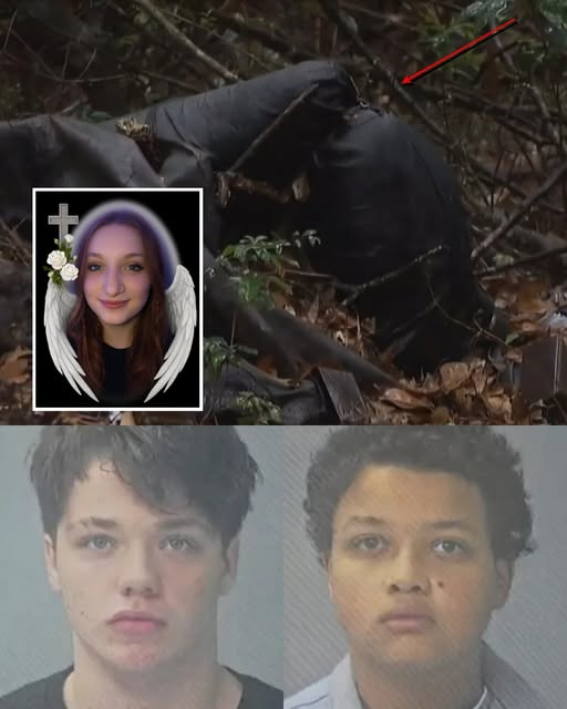Danika Troy, 14 (Midwestern Town, USA Placeholder) Teen Murder Obituary: Shattered Innocence: Danika Troy, 14, Lured, Murdered, and Body Burned by Two Teenage Boys (14 & 16) in Cold-Blooded Premeditated Killing Justice for Danika