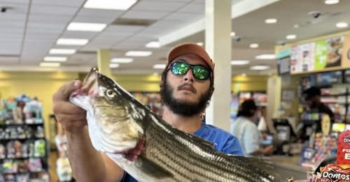 Nicholas Almeida Fall River, MA Obituary — Nicholas Almeida Fatal Shooting — Nicholas Almeida Shocking Double Homicide Alongside Mother in Fall River