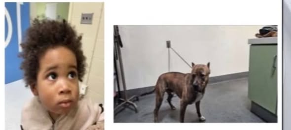 In a disturbing incident on Sunday morning, December 28, 2025, a nearly 2-year-old boy and a dog were found abandoned inside a vehicle in Highland Park