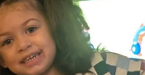 Karma Murray-Sinicki Harrison Township, PA Obituary – Karma Murray-Sinicki Violent and Sudden Passing – Karma Murray-Sinicki Shocking Loss of 3-Year-Old “Spooky-Loving Girl” Following Unimagined and Sudden Tragedy Inside Her Pine Street Home