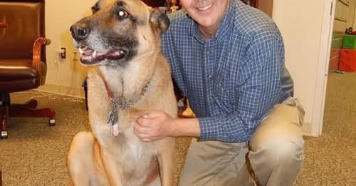 Michael R. Frey Fairfax, VA Obituary — Michael R. Frey Heartbreaking Social Media Transition — Michael R. Frey: Honoring the Resplendent Soul of an Extraordinary Leader and Animal Welfare Champion Following an “Unforeseen Departure”