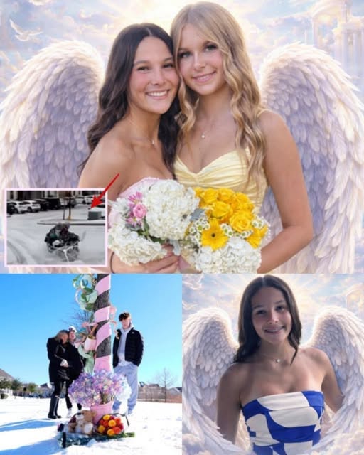 Elizabeth Angle and Gracie Brito Frisco TX Obituary — Best Friends Elizabeth Angle and Grace Brito Passed Away — A SHATTERING WINTER TRAGEDY: Frisco Community Grieves the Loss of Wakeland High Sophomores Elizabeth Angle and Grace “Gracie” Brito obituary