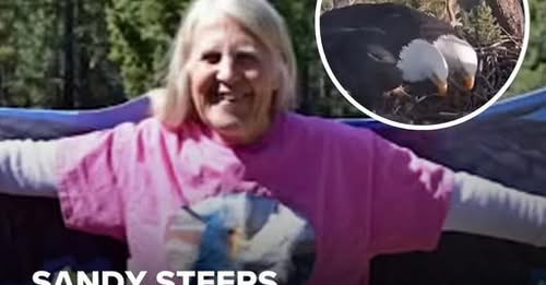 Big Bear Lake, California Obituary — Beloved Conservationist Passing — THE GLOBAL WILDLIFE COMMUNITY HEARTBREAK: Environmental Advocate and Friends of Big Bear Valley Executive Director Sandy Steers Passes Away; Shocking “Stolen Sunset” of Luminous Spirit Leaves Conservation World Grieving the Unforeseen Departure and Unfiltered Tragedy of an Advocate Known for Unfailing Grace