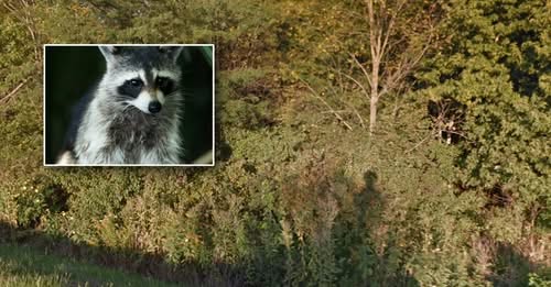 Andrew Boots Indiana Obituary — 31-Year-Old North Judson Resident Andrew Boots Passed Away Following Tragic Hunting Accident — A SHATTERING LOSS IN FULTON COUNTY: The Community Grieves the Passing of Andrew Boots; A Legacy of “Shining Promise” and a Family’s “Unfathomable Journey” of Sorrow obituary