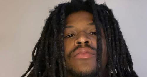 Bria Fleming South Holland Obituary – Bria Fleming Dies in Tragic Accident – Bria Fleming Killed in Shocking Late-Night ATV Crash