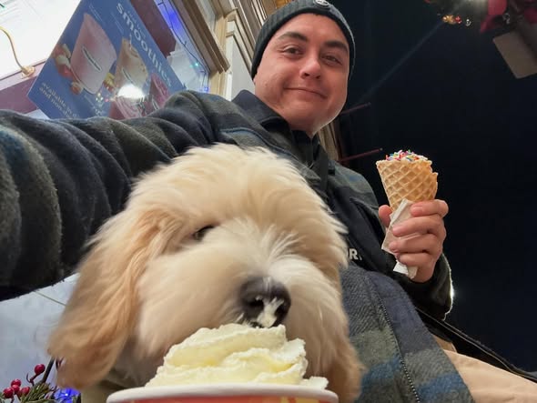 Michele Adams Fairfax VA Obituary — Beloved 39-Year-Old Michele Adams Passed Away Following Tragic I-495 Incident — A SHATTERING LOSS IN FAIRFAX: The Virginia Community Grieves the Passing of Michele Adams; A Legacy of “Shining Promise” and a Family’s “Unfathomable Journey” of Sorrow obituary