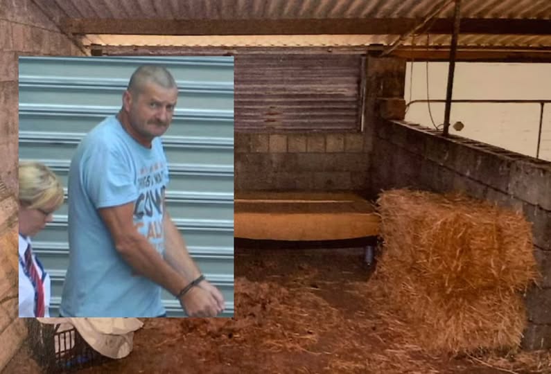 Davine Arckens Rural Australia Case — Backpacker Davine Arckens Survived Horrific Confinement and Assault in Isolated Pig Shed — A SHINING TESTAMENT TO SURVIVAL: The Community Reflects on the Bravery of Davine Arckens; A Legacy of “Unyielding Courage” and the “Shattering Reality” of a Nightmare Ended by a Wi-Fi Signal obituary