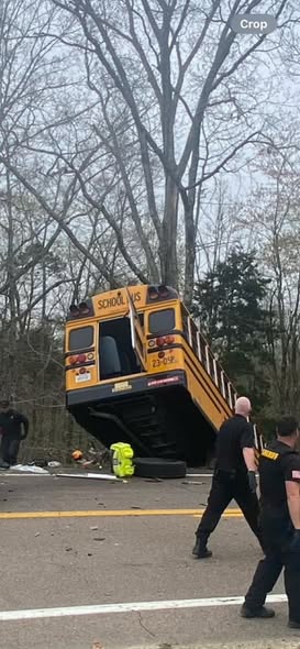 Arianna Pearson & Zoe Davis Clarksville, TN Obituary – Arianna Pearson & Zoe Davis School Bus Crash – Arianna Pearson & Zoe Davis Two Students Killed in Horrific School Bus vs. Dump Truck Collision