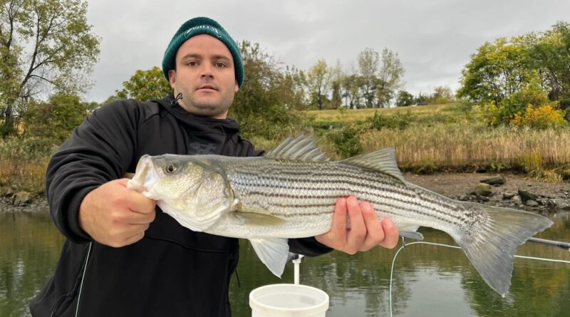 Charlie Erdmann Stratton, VT Obituary – Charlie Erdmann Violent and Sudden Passing – Charlie Erdmann Shocking Loss of 30-Year-Old Greenwich Financial Advisor Following a Violent and Sudden Traffic Collision That Has Left an Irreplaceable Void