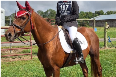 Kendall Reuwer Maryland Obituary – Kendall Reuwer Tragic Sudden Passing – Kendall Reuwer Shocking Death of Beloved Horse Trainer and Business Owner