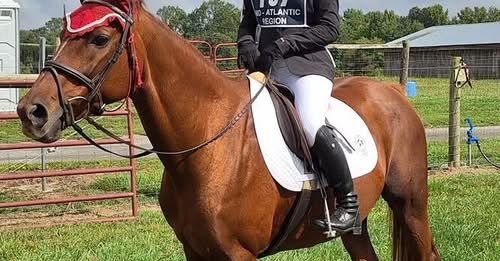 Kendall Reuwer Maryland Obituary – Kendall Reuwer Tragic Death – Kendall Reuwer Sudden Passing Shocks Community After Heartbreaking April 9 Loss