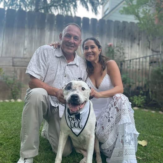 Steve Cox Fresno, CA Obituary – Steve Cox Unexpected and Heartbreaking Passing – Steve Cox: Beloved Bullard High Teacher and Coach Dies Suddenly, Leaving Fresno School District in Shock