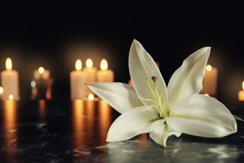 Josie Works Geneva Obituary – Josie Works Heartbreaking Sudden Death – Josie Works Beloved Geneva Resident Dies Leaving Community Shaken by Tragic and Shocking Loss